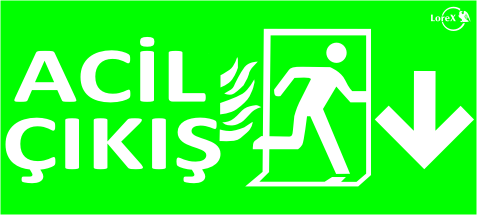 LOREX LR-FD Down Arrow Photoluminescent Exit Sign 